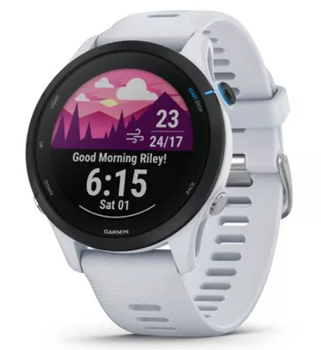 [GAR-FR255-MUSWHI] Garmin Forerunner 255 Music Whitestone